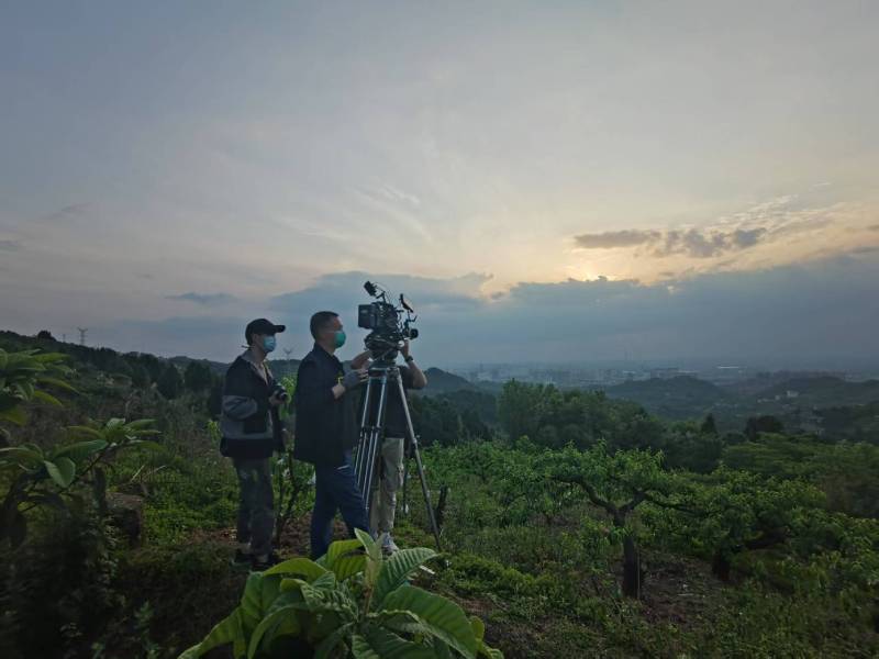 创意破圈！广宗县电商产品宣传视频用故事化叙事引爆流量