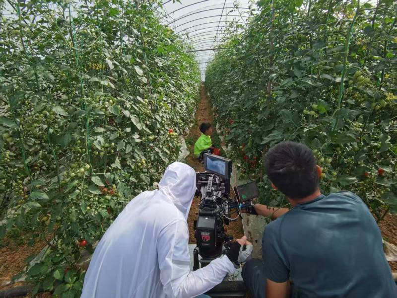 广宗县产品宣传视频拍摄公司进阶指南，助力品牌抢占传播高地